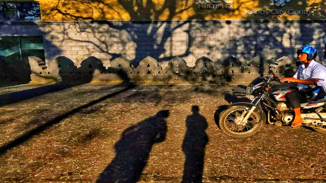 shadow story