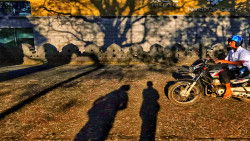 shadow story