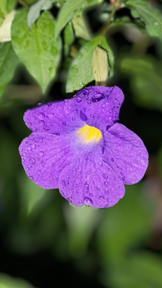 Beautiful nature