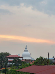 Temple with nature's beauty