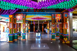 The Palette of Devotion