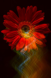 Fading colours