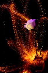 Flame in the Dark