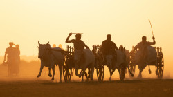 Golden Bull Guard Race