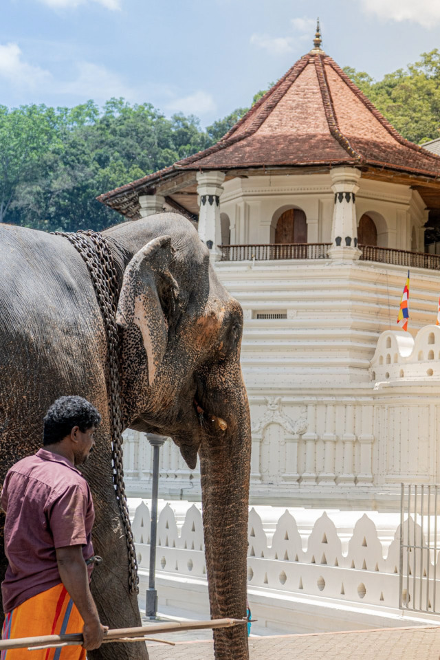 Temple of tooth