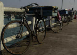 Resting Wheels by the Pier