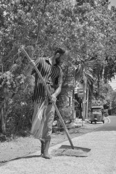 Rhythm of Rural Life