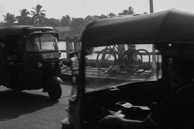 Moments Between Journeys