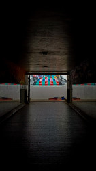 Shelter in Shadows