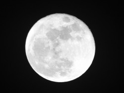 The full moon