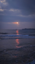 The sunset