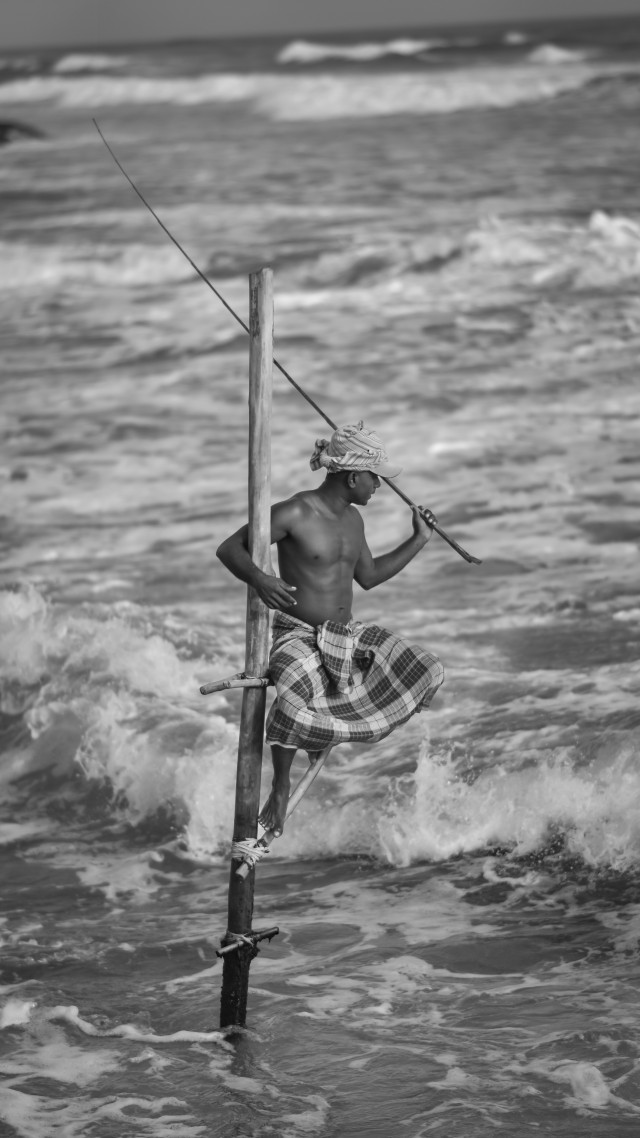 Still Fisher