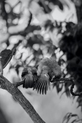 Threads of flight