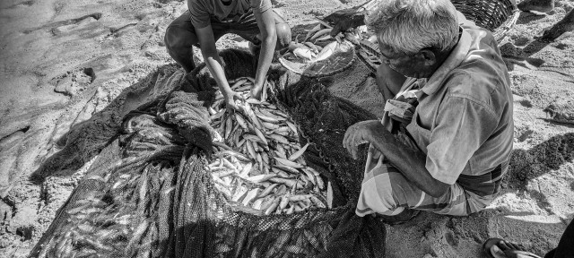 The Fishermen’s Morning