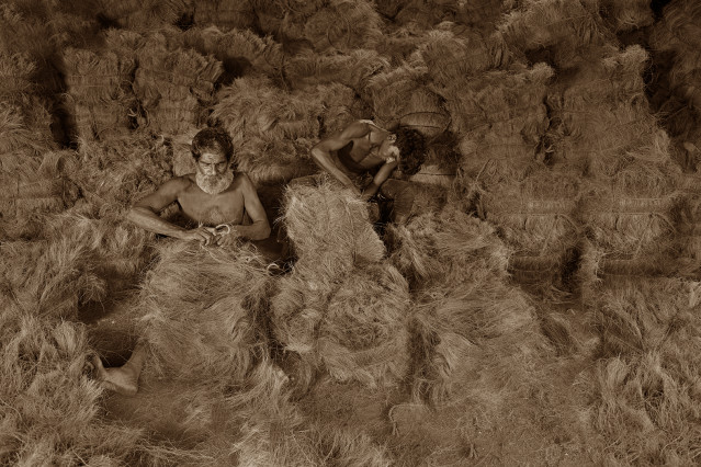 COIR INDUSTRY
