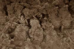 COIR INDUSTRY