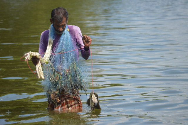 The Catch