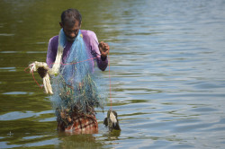 The Catch