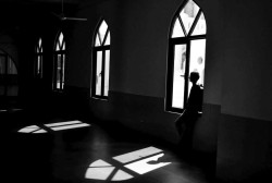 Among the windows