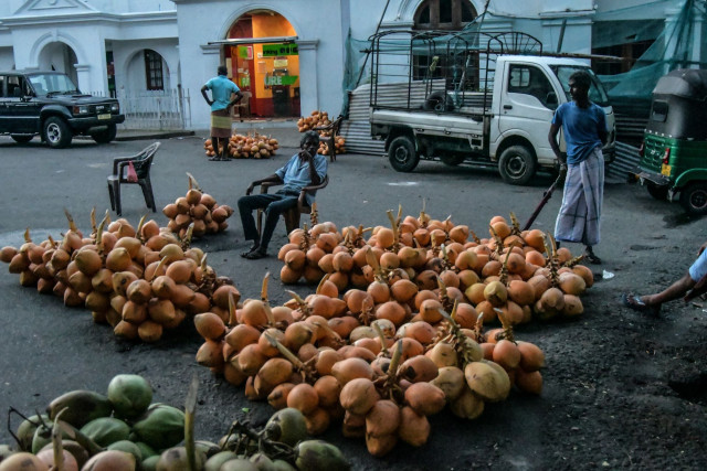 KING of coconut
