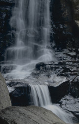 Nature's Melody