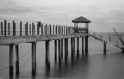 Calm Grey