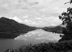 Reflections