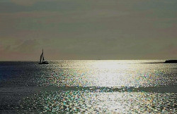 Calm Evening