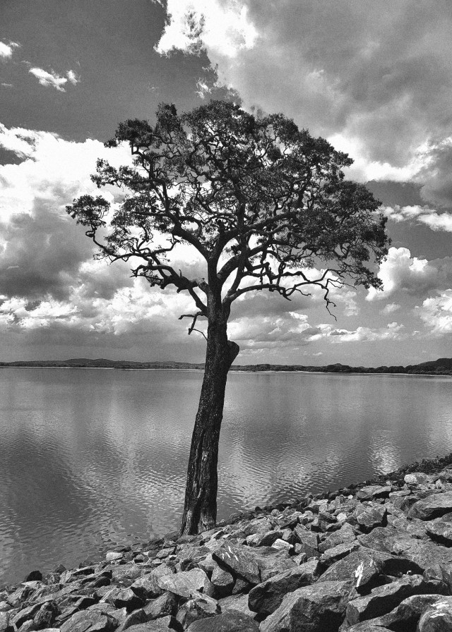 Solitude