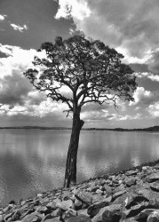 Solitude