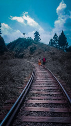 Quiet Journey