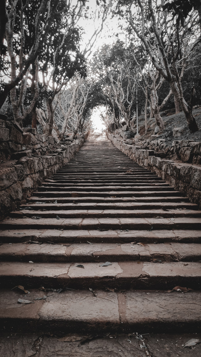 Nature's Destination