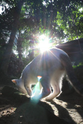 Sun bath