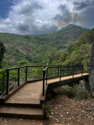 Nature’s Passage