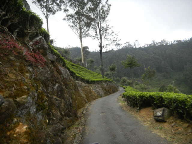 Green Mountain Trial