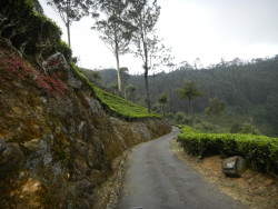 Green Mountain Trial
