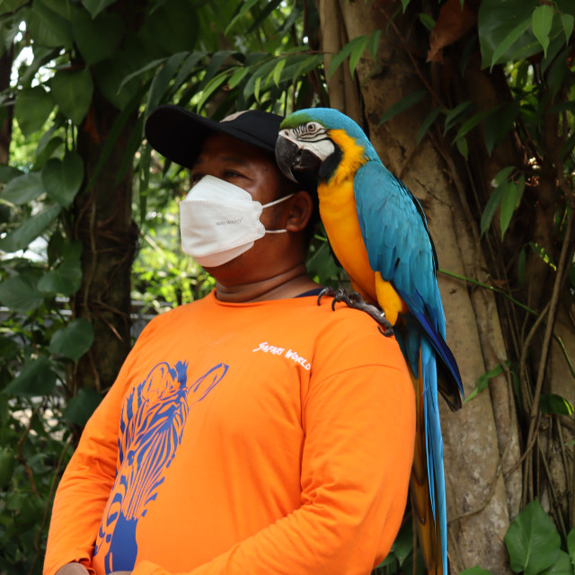 Man carrying the nature on his shoulder