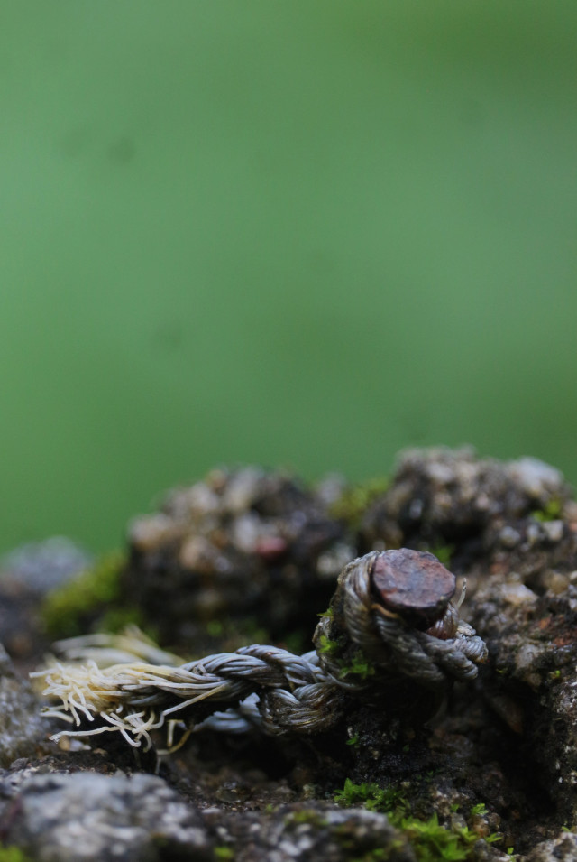 Corrosion