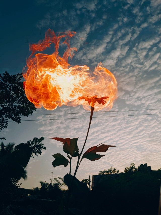 Fire it up