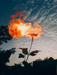 Fire it up