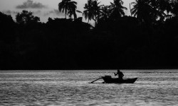 Lonely sails