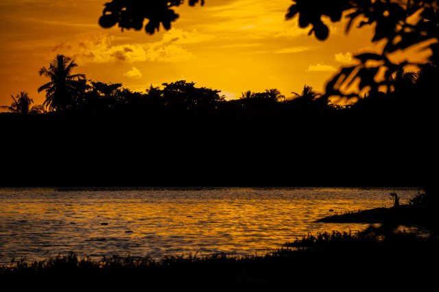 Natures canvas