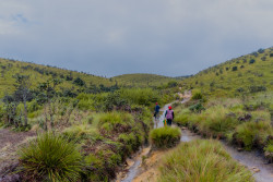 Journey through the plains