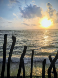 Sunlit Shores