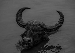 Silent strength beneath the surface