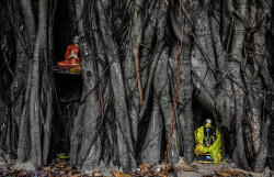 The Unseen Altar