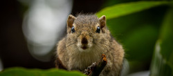 In It's eyes