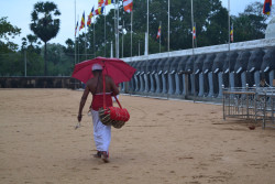 Drummer