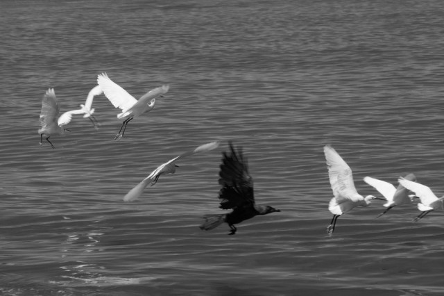 Through the wind