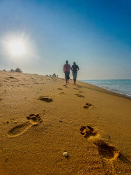 ​Golden hour walk